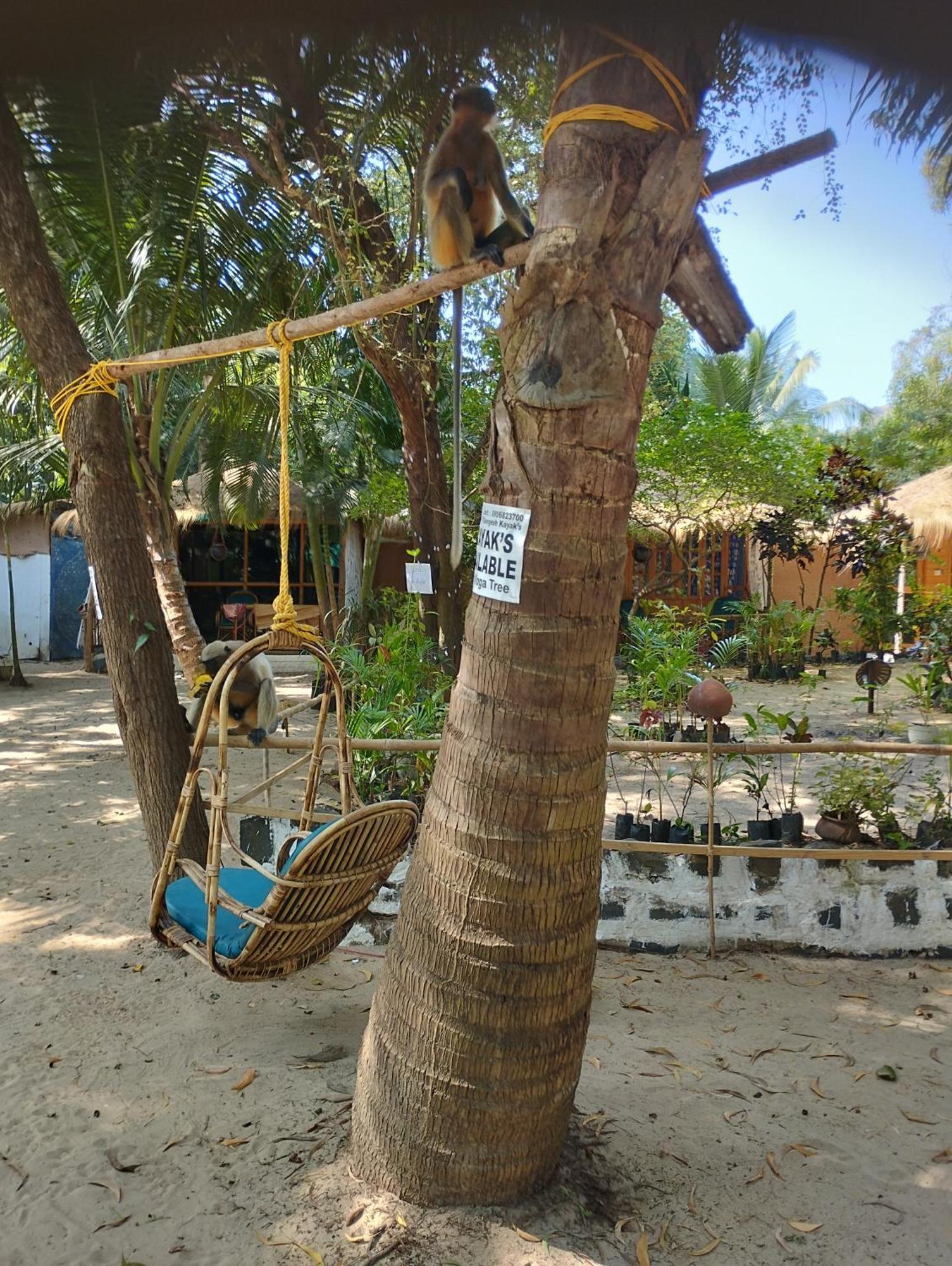 Yoga Culture Palolem Hotel Exterior photo