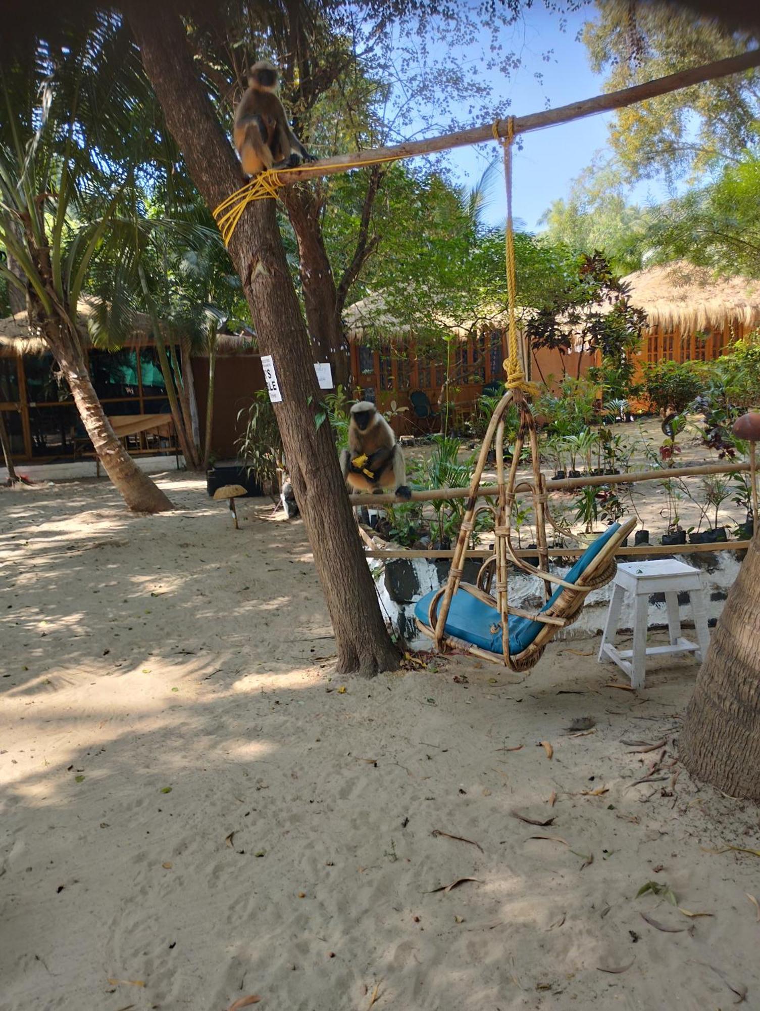 Yoga Culture Palolem Hotel Exterior photo