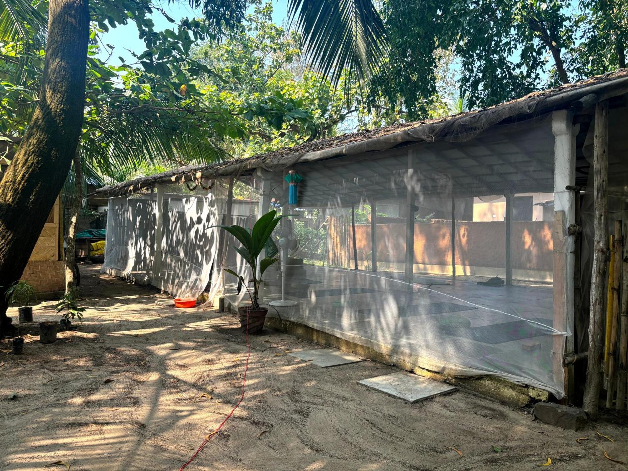 Yoga Culture Palolem Hotel Exterior photo